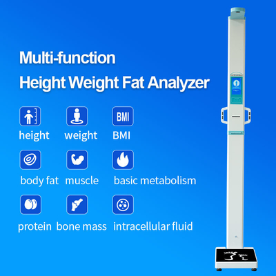 Body Composition Analyzer BMI Body Fat Scale Muscle Fat Weight Test w/  Printer